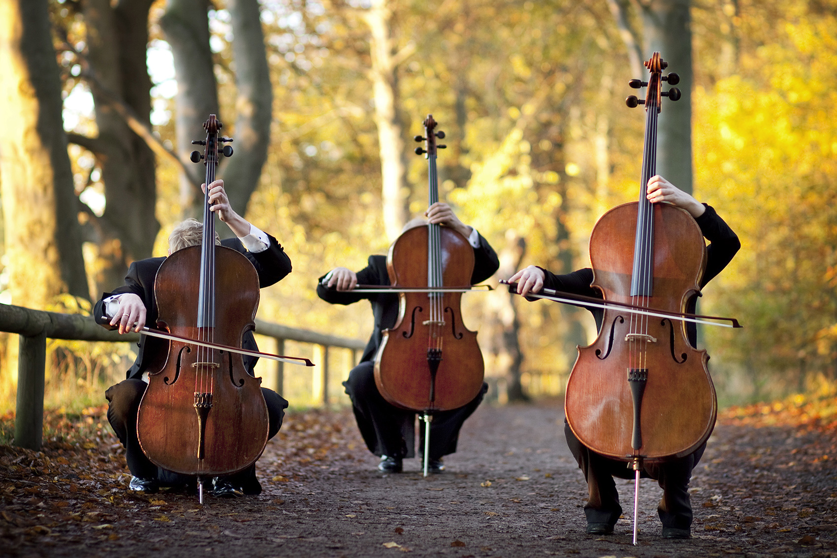 Найди веселую музыку. Виолончель 1/2. Виолончель музыкальный инструмент. Международный день виолончели.